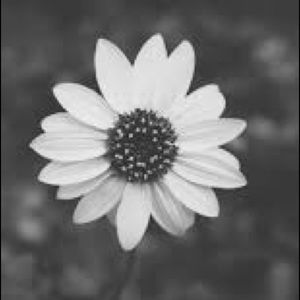 Meet your Posher, Trista